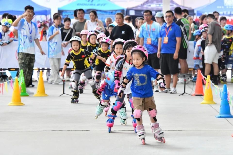 会向振安区, color 会向振安区, color