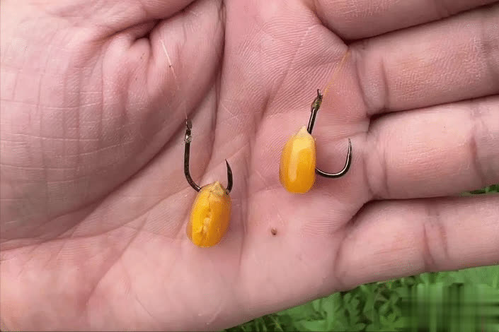 img, 这套, 一个信号 img, 这套, 一个信号