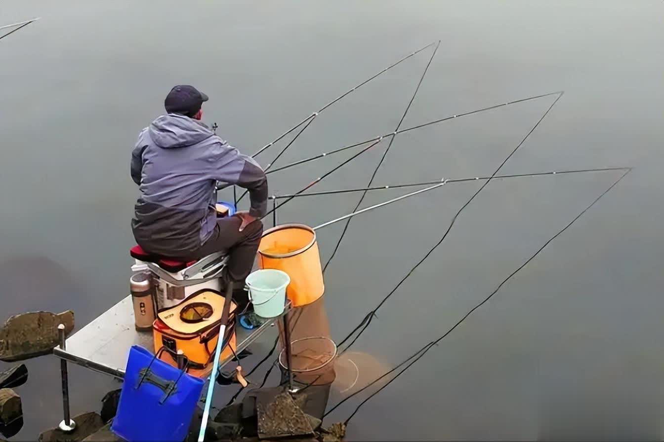 alt, entit alt, entit